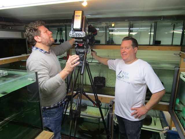 Biologische Filterung